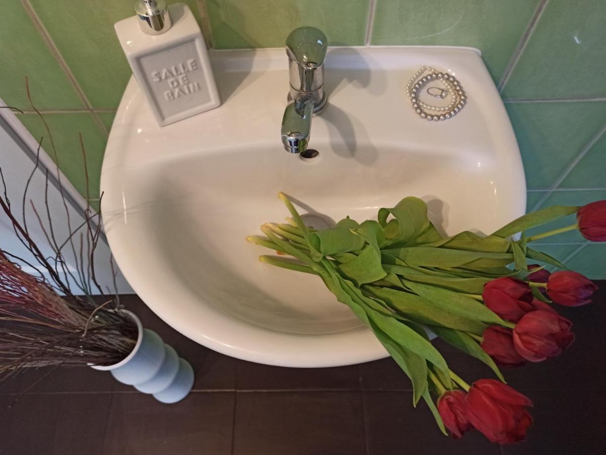 Apartmany Ziakova - Ubytovani Nove Hrady 111 Zewnętrze zdjęcie