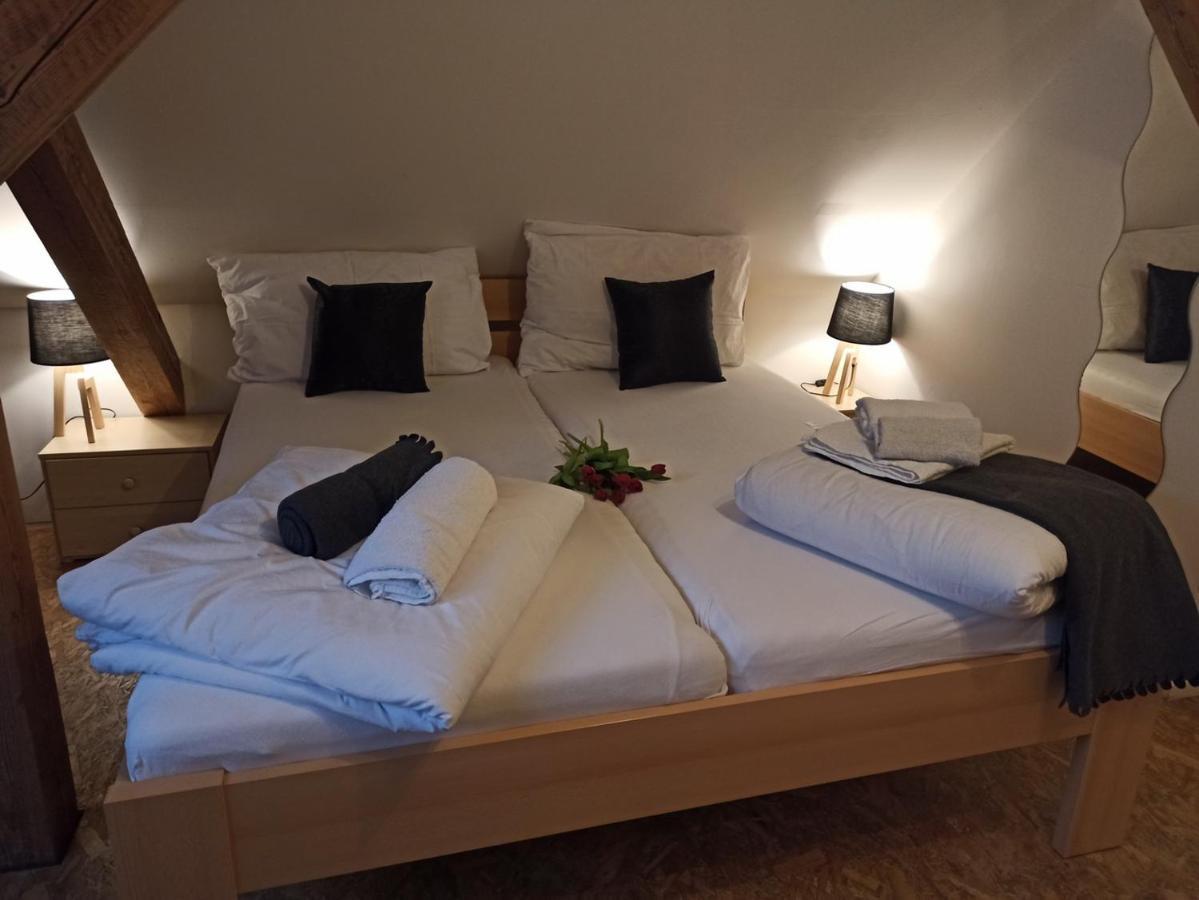 Apartmany Ziakova - Ubytovani Nove Hrady 111 Zewnętrze zdjęcie