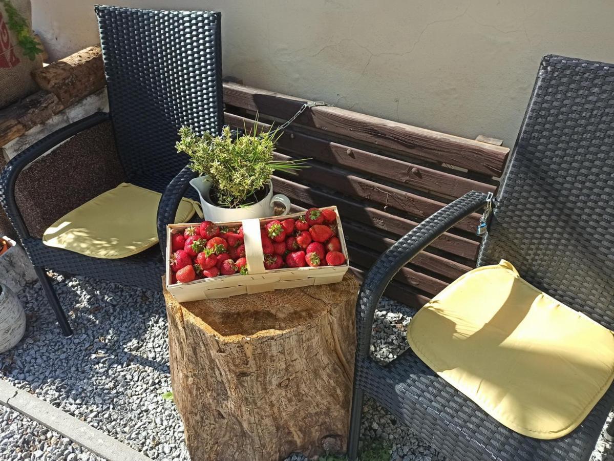 Apartmany Ziakova - Ubytovani Nove Hrady 111 Zewnętrze zdjęcie