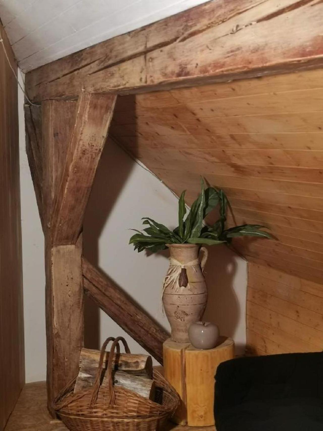Apartmany Ziakova - Ubytovani Nove Hrady 111 Zewnętrze zdjęcie