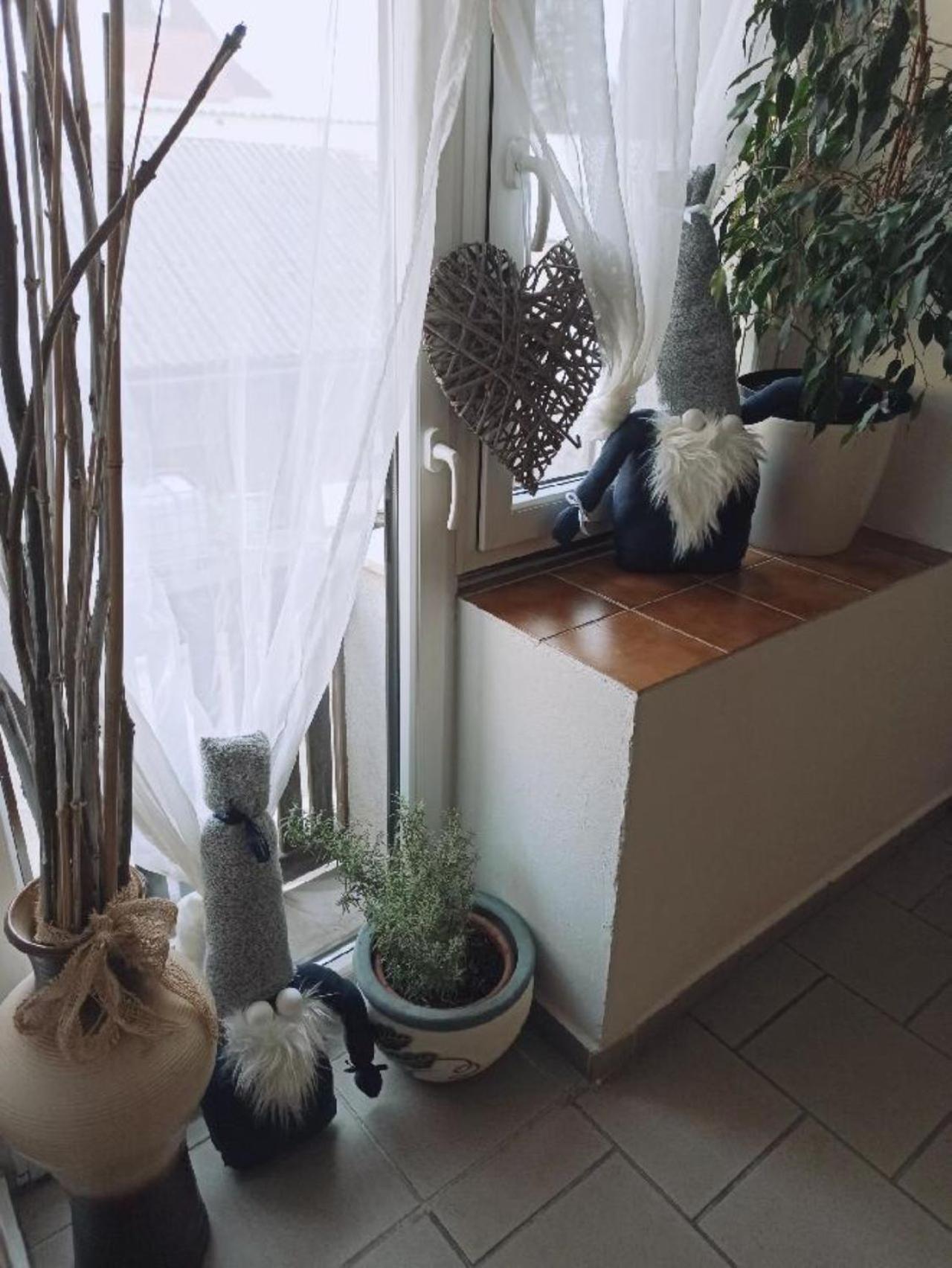 Apartmany Ziakova - Ubytovani Nove Hrady 111 Zewnętrze zdjęcie